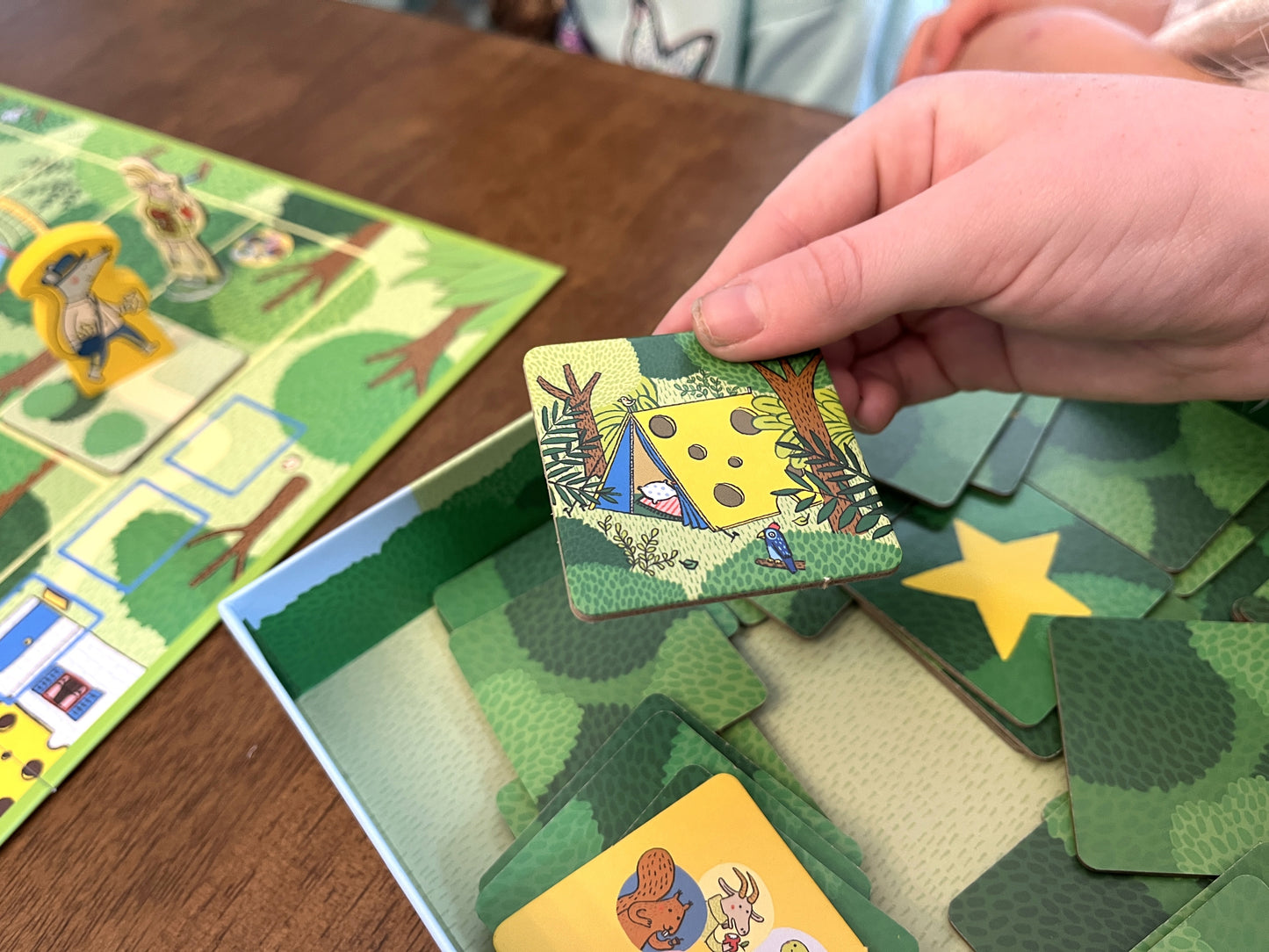 Mr. Postmouse's Picnic